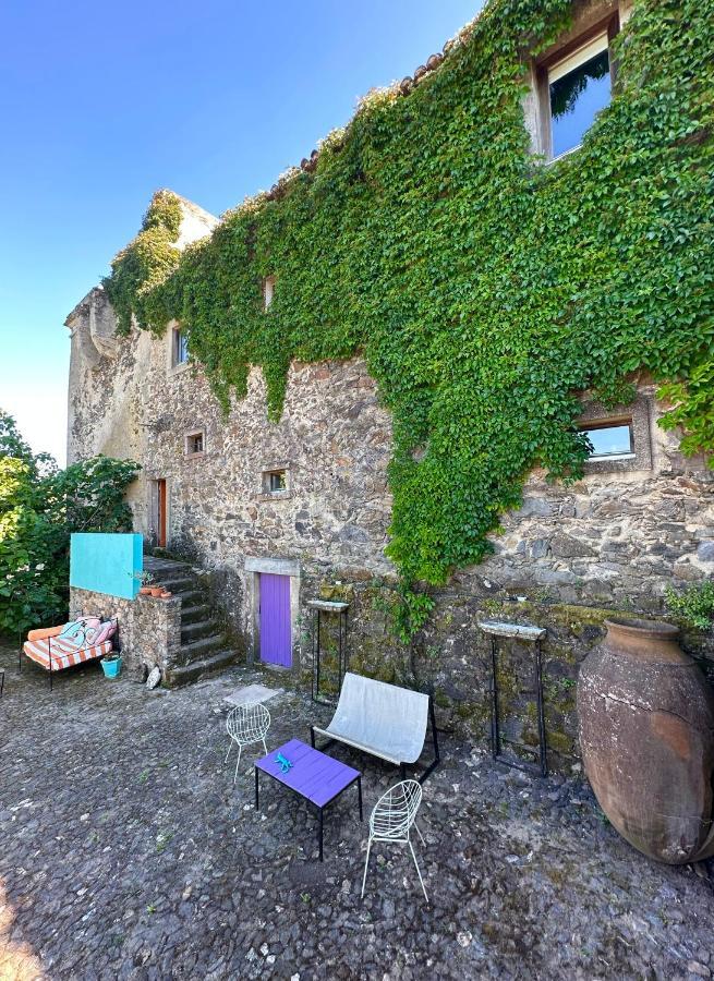 ホテル Convento Senhora Da Vitoria カステロ・デ・ヴィデ エクステリア 写真
