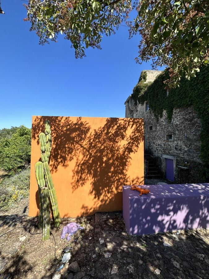 ホテル Convento Senhora Da Vitoria カステロ・デ・ヴィデ エクステリア 写真