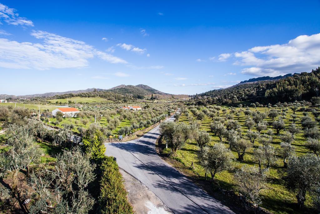 ホテル Convento Senhora Da Vitoria カステロ・デ・ヴィデ エクステリア 写真